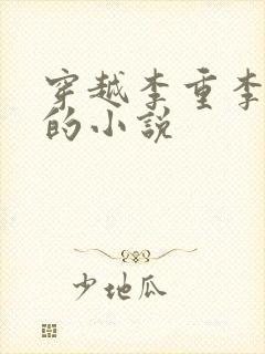 穿越李重李世民的小说封面