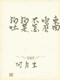 狗狗不吃东西又吐是怎么回事封面