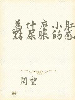 为什么小肚子有点尿胀的感觉封面