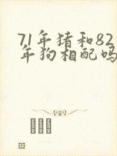 71年猪和82年狗相配吗?