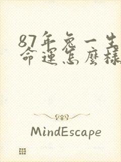87年兔一生的命运怎么样