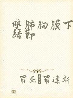 双肺胸膜下微小结节封面