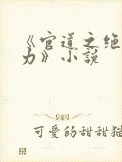 《官道之绝对权力》小说