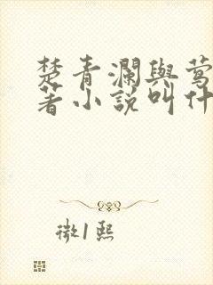 楚青澜与莺桃原著小说叫什么封面