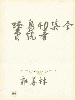 蜂鸟40集全免费观看