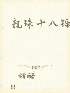 龙珠十八号本子