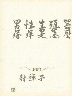 男性生殖器长疙瘩痒是怎么回事