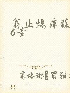 翁止熄痒苏玥第6章