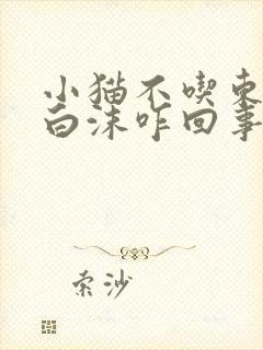 小猫不吃东西吐白沫咋回事封面