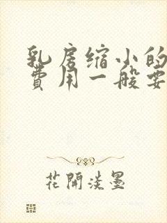 乳房缩小的手术费用一般要多少钱