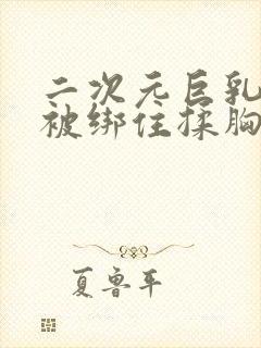 二次元巨乳美女被绑住揉胸动态