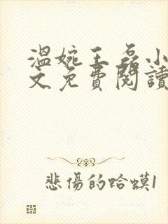 温婉王磊小说全文免费阅读无弹窗