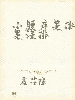 小腹疼是排卵还是没排