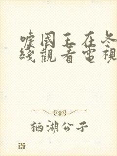 嘘国王在冬眠在线观看电视剧免费