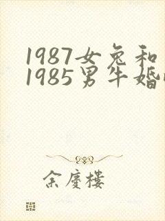 1987女兔和1985男牛婚配