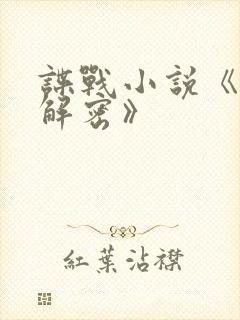 谍战小说《永不解密》封面