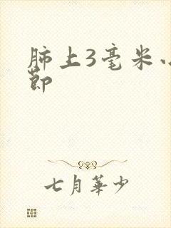 肺上3毫米小结节