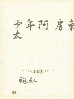 少年阿 房东太太封面