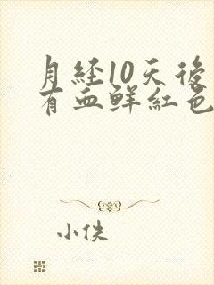 月经10天后又有血鲜红色