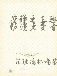 魔弹之王与战姬动漫免费看封面