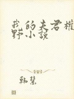 我的夫君权倾朝野小说