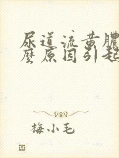 尿道流黄脓是什么原因引起的