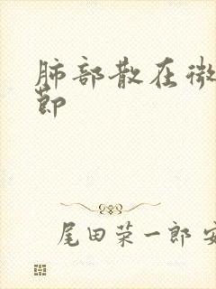 肺部散在微小结节