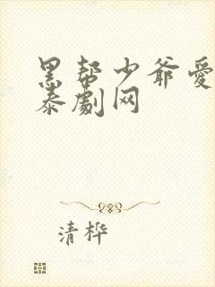 黑帮少爷爱上我泰剧网