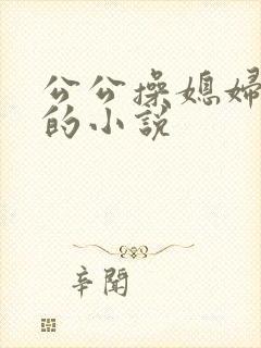 公公操媳妇逼逼的小说封面