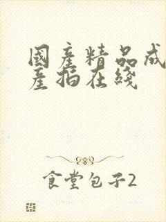 国产精品成人自产拍在线