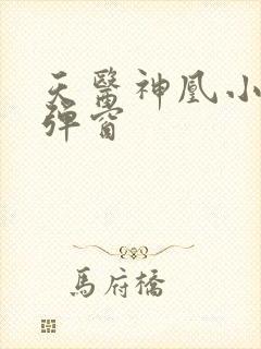天医神凰小说无弹窗