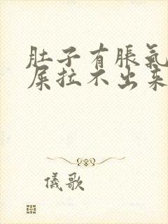 肚子有胀气想拉屎拉不出来是什么原因封面