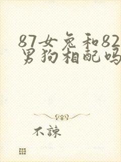 87女兔和82男狗相配吗