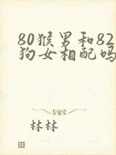 80猴男和82狗女相配吗