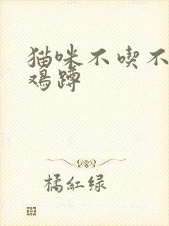 猫咪不吃不喝母鸡蹲