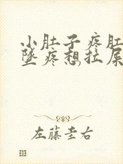 小肚子疼肛门下坠疼想拉屎拉不出来