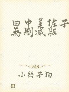 田中美佐子三级无删减版封面