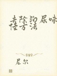 去除狗尿味的最佳方法