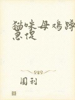 猫咪母鸡蹲呼吸急促