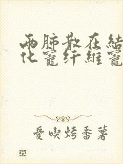 两肺散在结节钙化灶纤维灶