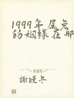 1999年属兔的姻缘在哪年结婚
