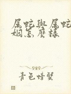 属蛇与属蛇的婚姻怎么样