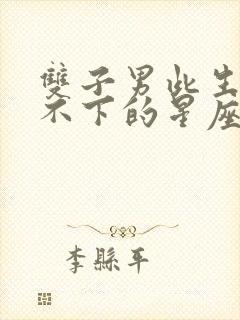 双子男此生最放不下的星座女