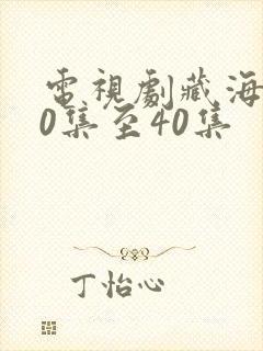 电视剧藏海传20集至40集