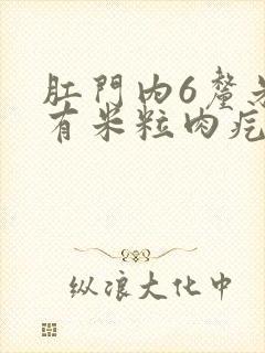 肛门内6厘米处有米粒肉疙瘩
