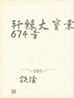 轩辕大宝袁雪妃674章