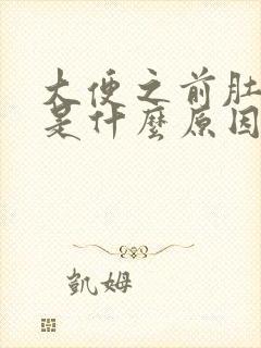 大便之前肚子疼是什么原因