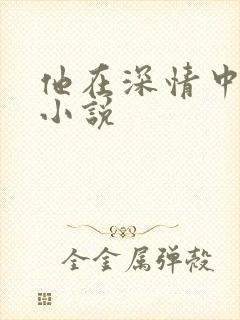 他在深情中陨落小说