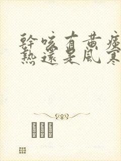 干咳有黄痰是风热还是风寒