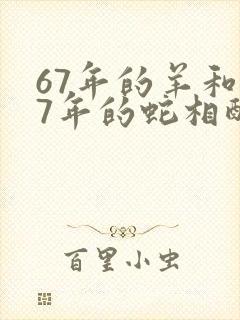 67年的羊和77年的蛇相配吗封面